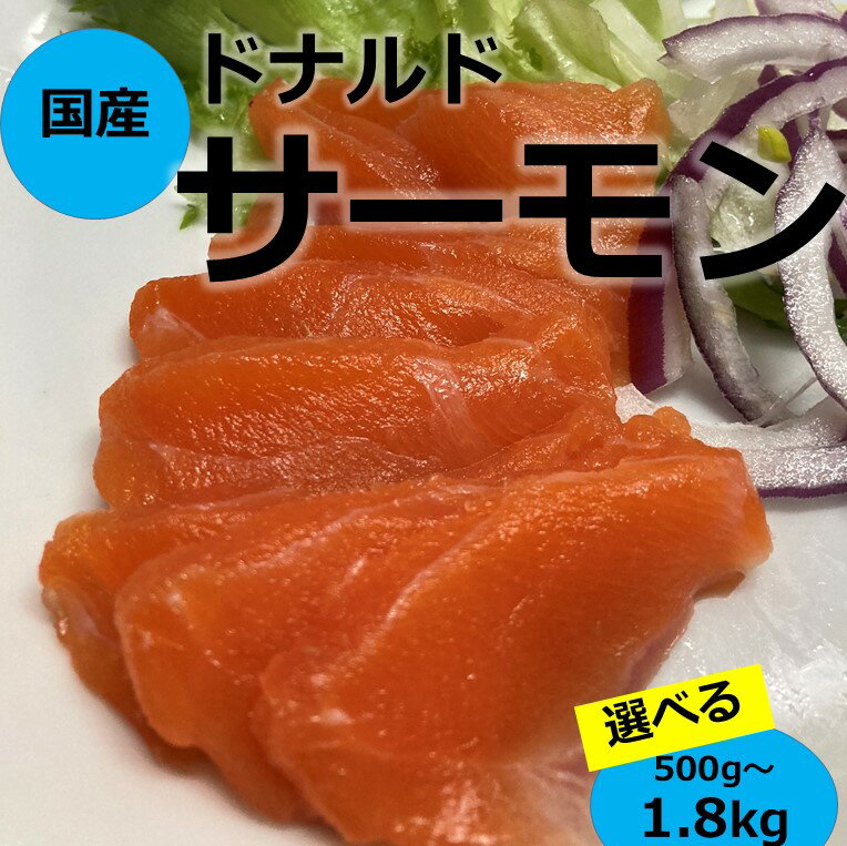 【ふるさと納税】国産サーモン 500g/ 800g/1800g 訳あり サイズ不揃い 鮭 ポーション 小分け ブロック 柵 刺身 海鮮丼 カルパッチョ 骨取り 生食 海鮮 冷凍 最短5営業日発送 内容量が選べる 北海道 サケ 無添加
