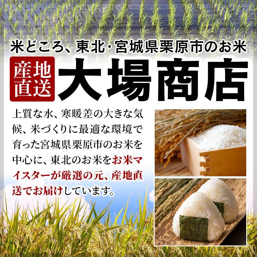 《定期便6ヶ月》【令和7年産・玄米】宮城県産 ササニシキ 毎月5kg (5kg×1袋)×6ヶ月