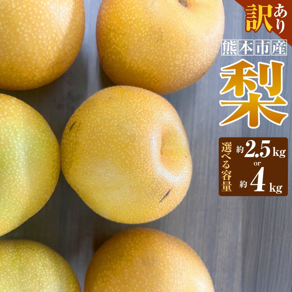【ふるさと納税】＜選べる容量＞【訳あり】【数量限定】【先行予約】熊本市産 梨（幸水・豊水・秋月・新高など） 約2.5kg または 約4kg なし 果物 果実 フルーツ 果実 熊本県産 国産 熊本県 熊本市 送料無料 【2026年8月下旬～10月下旬発送予定】