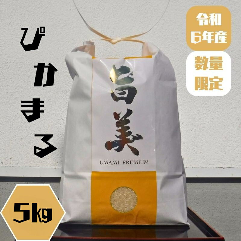 【ふるさと納税】米 ぴかまる お米番付2021優秀賞受賞 お米 5kg 五十棲 京都 白米 ライス こめ コメ おこめ 精米 ごはん お弁当 おにぎり 主食 炭水化物 京都府産 向日市産 国産 日本産　 京都府向日市 　お届け：2023年