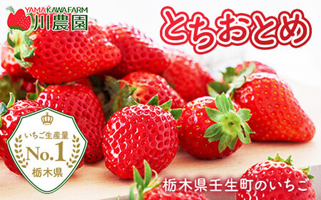 とちおとめ 320g×2パック 4Lサイズ ｜ いちご 苺 イチゴ 贈答 フルーツ 果物 国産 平積み　※2026年1月中旬頃より順次発送予定