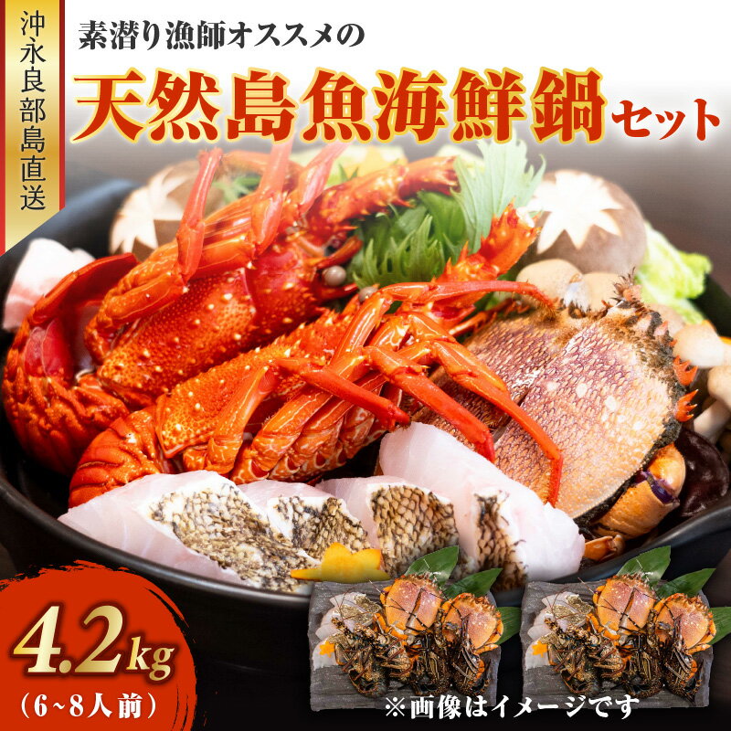【ふるさと納税】天然島魚 海鮮鍋 セット 4.2キロ 6～8人前 伊勢海老 アサヒガニ 各 2kg 島魚 200g 沖永良部島直送 素潜り漁師 オススメ 素潜り漁 新鮮 冷凍加工 グルメ お取り寄せ カニ エビ 海産物 お鍋 シメ 旨味 出汁 雑炊 特産品 沖永良部島 送料無料