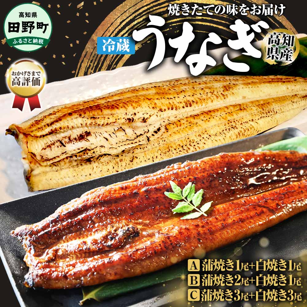 【ふるさと納税】鰻 ウナギ ヤマシン特選うなぎの蒲焼き（1～3尾）＋白焼き（1・3尾）（特製タレ付き）うなぎ 鰻 ウナギ 国産 高知県産 蒲焼 かばやき 白焼き 特製タレ 冷蔵 配送 真空パック 高知 ふるさとのうぜい 故郷納税 15000円から 返礼品