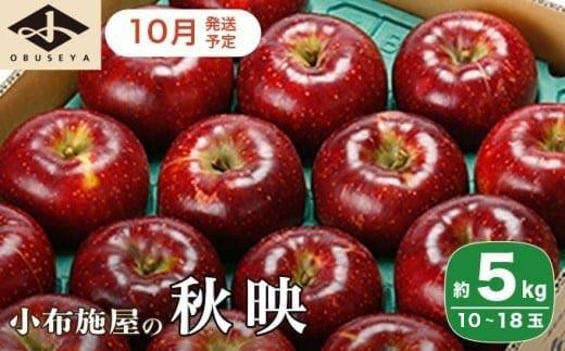 
                  秋映 約5kg 10～18玉 ［小布施屋］  りんご 林檎 リンゴ 果物 フルーツ 令和8年産【2026年10月発送】
                