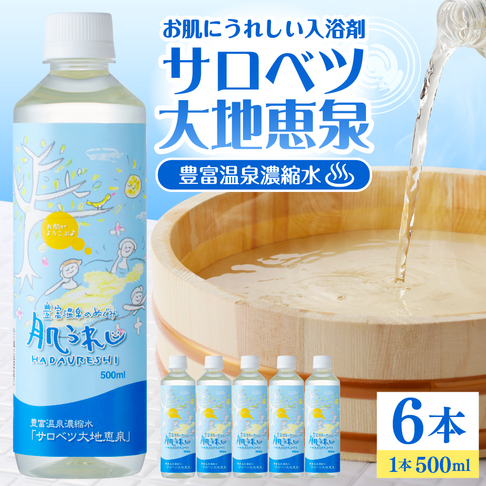 豊富温泉 濃縮温泉水 サロベツ大地恵泉 (500ml×6本) 500ml×6本