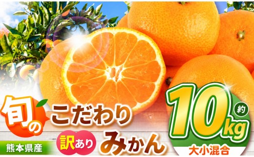 旬のこだわりみかん 約 10kg 大小混合 訳あり 果物 熊本県なごみ町産  | 熊本県 熊本 くまもと 和水町 なごみまち なごみ みかん ミカン 蜜柑 柑橘 柑橘類 温州 果物 フルーツ 不揃い キズ スレ