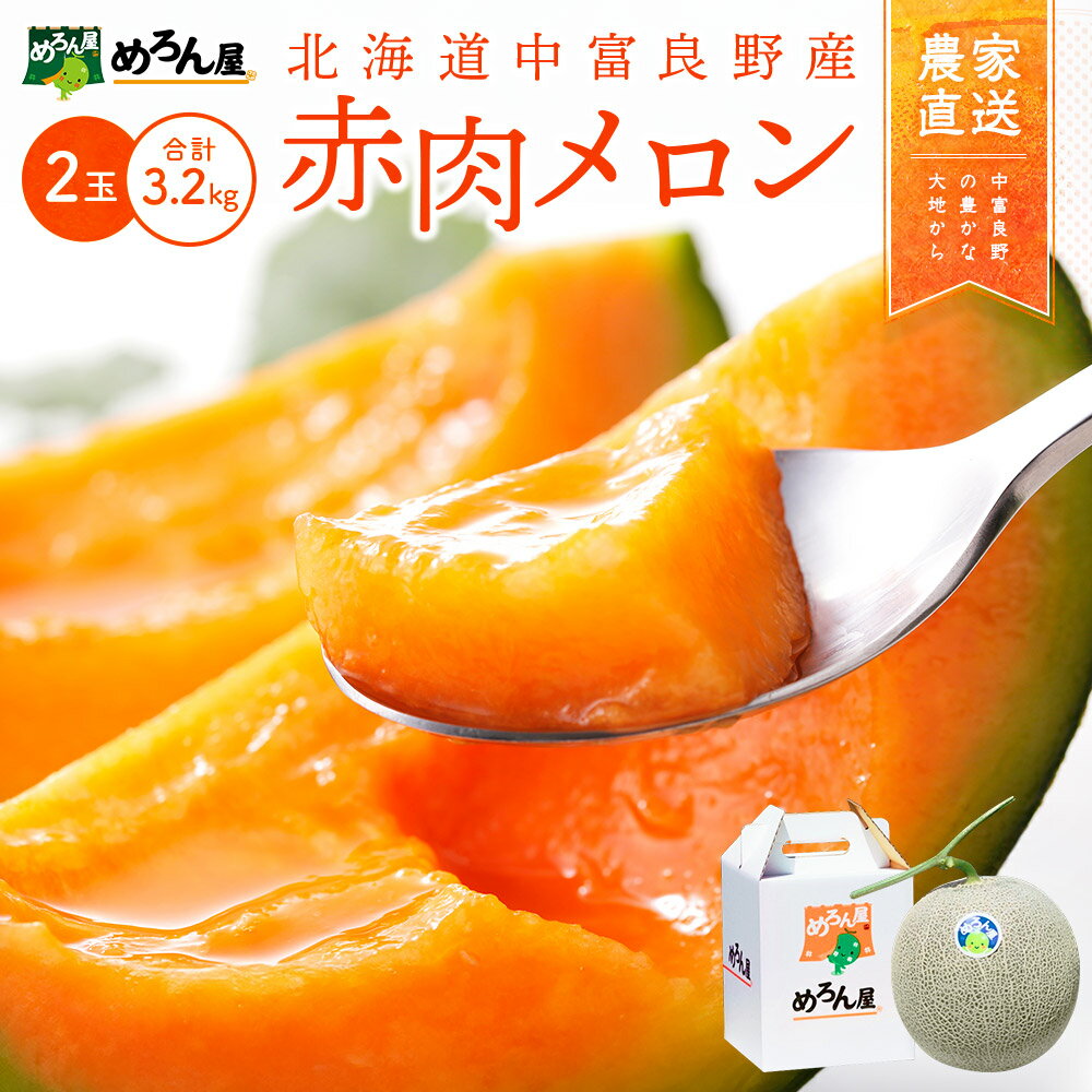 【ふるさと納税】【2026年発送】中富良野　赤肉メロン2玉（計2.6kg以上/計3.2kg以上）