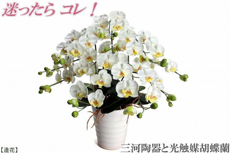 綺麗で丈夫な三河陶器で贈る光触媒胡蝶蘭小輪５本立（白の陶器×白色の花）H100-102