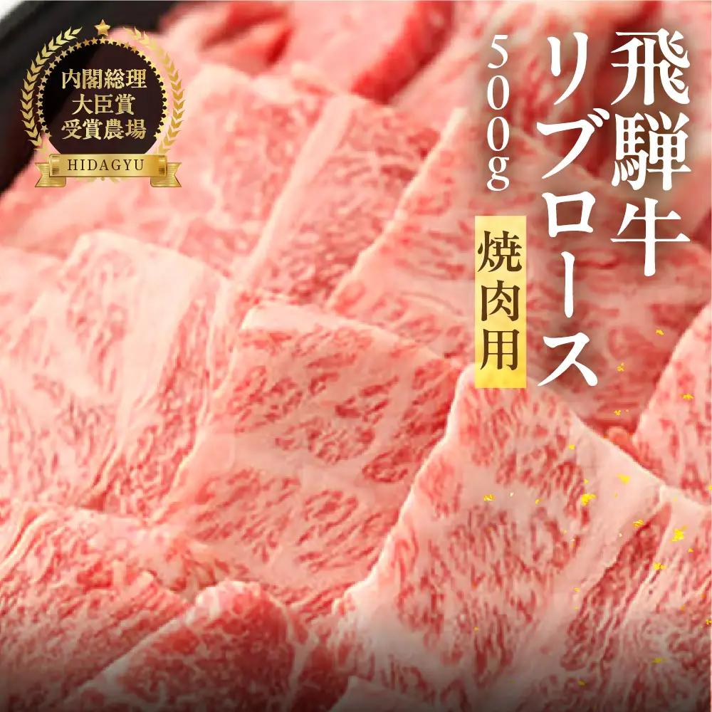 飛騨牛 リブロース 500g（焼肉用）【22-20【1】】