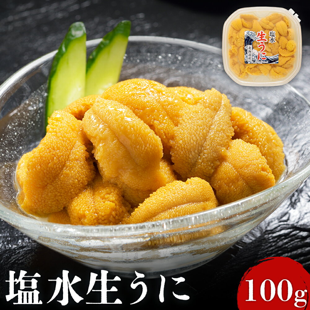 【ふるさと納税】【6月上旬〜8月中旬発送予定】北海道産 塩水ウニ 100g×1 ウニ うに 100g 1パック ミョウバン不使用 北海道 人気 旬 新鮮 羽幌町 羽幌 ふるさと納税【0211702】