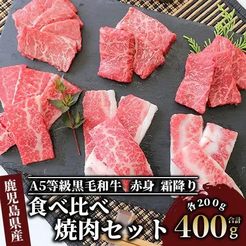 黒毛和牛 A5等級 鹿児島県産 黒毛和牛 焼肉 セット IB112-008 