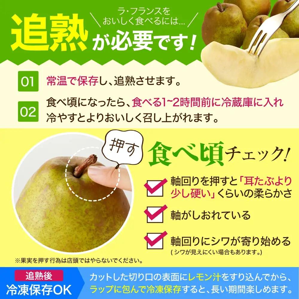 ラフランス 5kg 果物 洋梨 山形 ラ・フランス