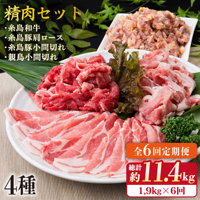 【ふるさと納税】【全6回定期便】牛・豚・鶏 日常使い セット 1,930g （4〜5人前・4種） 糸島市 / 糸島ミートデリ工房 [ACA198] 精肉 98000円