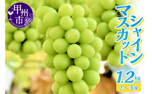 甲州自然の恵み！粒選りシャインマスカット 2～3房1.2kg以上【2024年発送】（LKS）B12-160