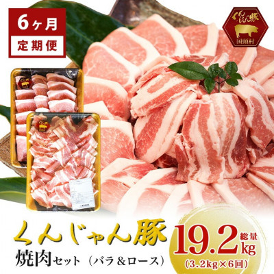 
            ＜毎月定期便＞くんじゃん豚 焼肉セット(バラ・ロース)計19.2kg全6回【4067079】
          