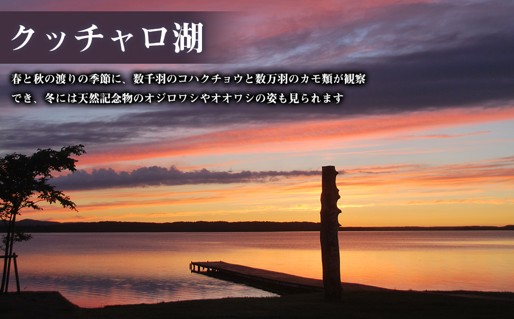 北海道 浜頓別町 ☆応援寄附金☆【返礼品なし】100,000円分 ふるさと納税 寄附のみ