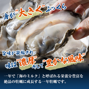 定期便 牡蠣 生食用 坂越かき 殻付き 20～25個《3ヶ月連続お届け》 成林水産 [ 生牡蠣 真牡蠣 かき カキ 冬牡蠣 ]