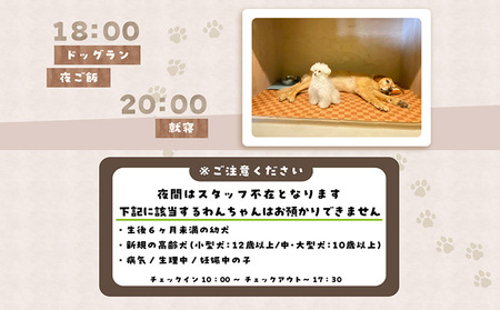 【海を一望できるドッグラン 利用チケット】ホテル ワイド2頭 1泊2日 犬 ペット ペットホテル 犬用ホテル 超小型犬 小型犬 中型犬 dog わんちゃん 愛犬 イヌ 宿泊 ドッグラン 常滑市 空港に