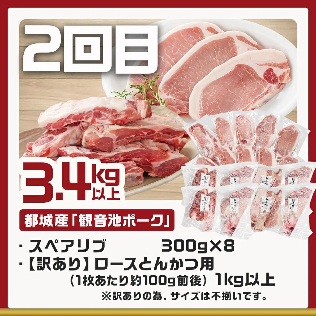 《3回連続お届け》観音池ポーク&宮崎県産豚定期便〔T45-3-9201〕_(都城市) 都城産 観音池ポーク ロースしゃぶしゃぶ肉 肩ロースしゃぶしゃぶ肉 真空パック しゃぶしゃぶ用 ブランドポーク ミ