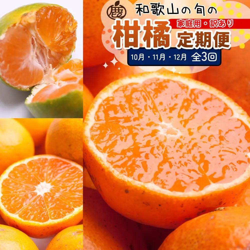 家庭用 柑橘定期便M（10～12月）全3回 ［IKE313］