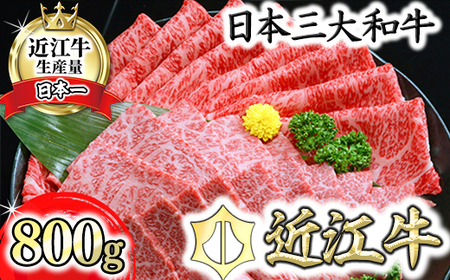 近江牛A5ランク焼肉・すき焼セット【800g】【DG11U】