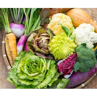 ふるさと納税 神埼市 年間定期便24回 イタリア野菜セットショート 7品 (H078147) |  | 01