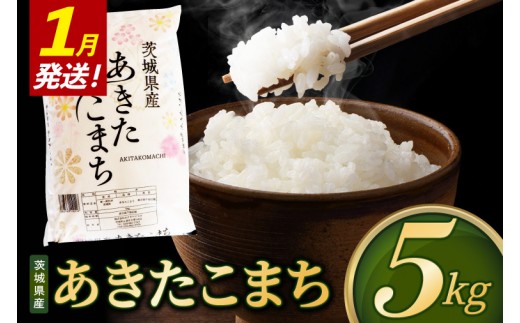 【2027年1月発送】米 あきたこまち 精米 5kg 令和8年産 茨城県産 お米 こめ コメ ごはん 白米 アキタコマチ 茨城県産米 単一米 単一原料米 安心 安全 送料無料 国産 人気 数量限定 （85-R8i133_01）