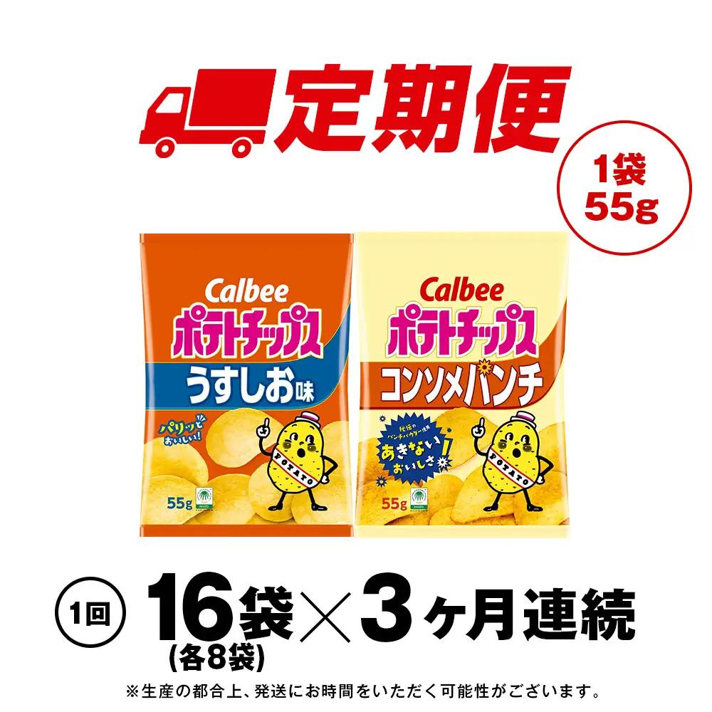 【定期便3カ月】カルビーポテトチップス 2種セット うすしお・コンソメパンチ 各8袋 《千歳工場製造》