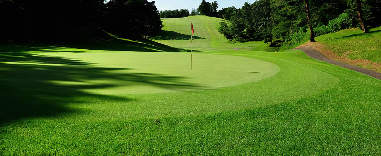 川崎国際生田緑地ゴルフ場　ご利用券　9,000点（3,000点×3枚）