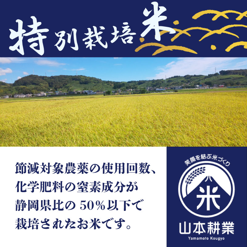 コシヒカリ 10kg お米 米 白米 こしひかり 農家直送 産地直送 山本耕業 こめ香 静岡県 牧之原市 10kg