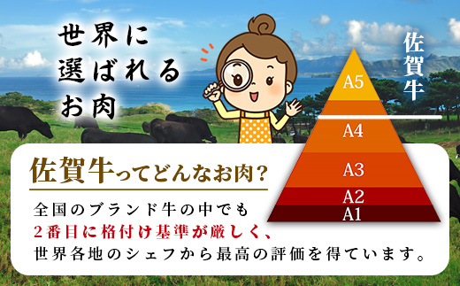 【定期便6回配送】＼極上のご褒美肉！／佐賀牛サーロインステーキ 200g×3枚 全6回配送 計3,600g｜A5・A4等級 厳選黒毛和牛 とろける霜降り 高級ステーキ 贈答 ギフト対応可 定期便 定期
