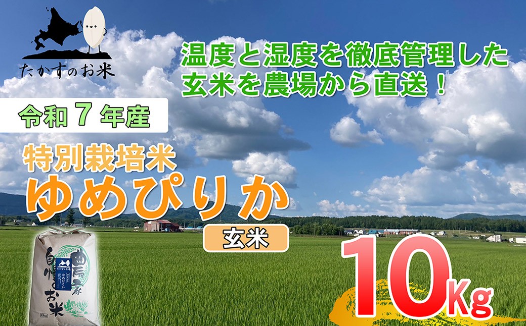 
            【令和7年産】 ゆめぴりか (玄米) 北海道 米 を代表する人気の品種 10kg 北海道 鷹栖町 たかすのお米 米 コメ こめ ご飯
          