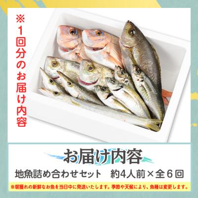 ふるさと納税 肝付町 【6回定期便】魚屋さんの選んだ新鮮お魚詰め合わせ(約4人分)　D09001 |  | 03
