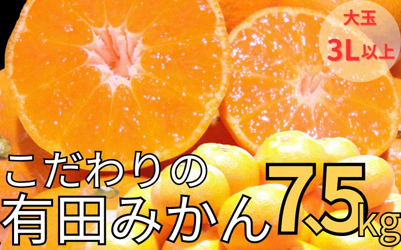 【農家直送】有田みかん 約7.5kg 大玉3L以上 有機質肥料100% ※2025年12月初旬～1月中旬に順次発送(お届け日指定不可)/みかん ミカン 温州みかん 柑橘 有田 和歌山【nuk158C】