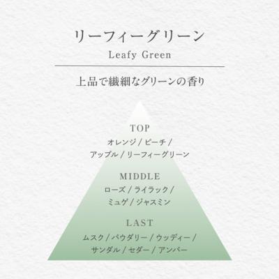 ふるさと納税 三宅町 バーグ リードディフューザー & カークリップセット(リーフィーグリーン)晴香堂 ルームフレグランス |  | 03