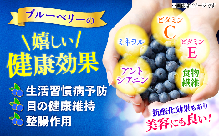 【2026年6月中旬より順次発送】【栽培期間中 農薬不使用】完熟 ブルーベリー 計2kg＜広津農園＞ [CBN009]
