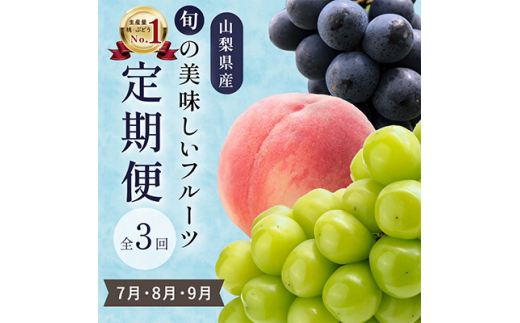 ＜発送月固定定期便＞山梨県産旬のおいしいフルーツ＜桃・巨峰・シャインマスカット＞定期便 全3回【4013020】