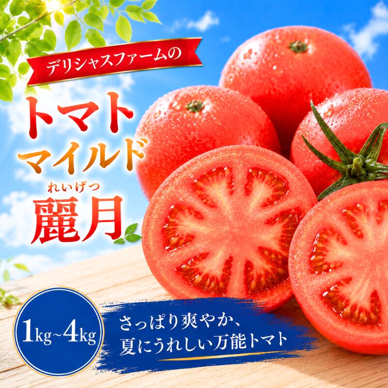 【ふるさと納税】【先行予約】トマト デリシャスファームのトマト (麗月) ※ 7月より収穫後順次発送予定【選べる容量】1kg 2kg 3kg 4kg 1キロ箱 2キロ箱 3キロ箱 4キロ箱 / とまと 野菜 産地直送 農家直送 れいげつ