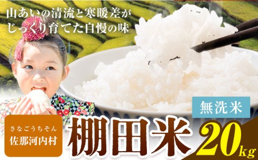 ★先行予約★ 棚田米 20kg 米 無洗米 送料無料 徳島県 佐那河内村 棚田米《2026年11月以降順次出荷》