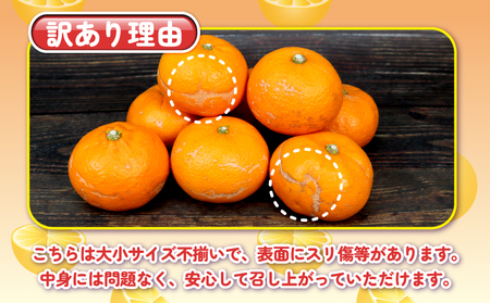 訳あり せとか 約4kg 柑橘の大トロ 杉本屋 先行予約 わけあり 訳アリ 訳あり品 果物 くだもの フルーツ 愛媛ミカン 愛媛蜜柑 愛媛みかん 高級 希少 mikan 蜜柑 みかん ミカン 濃厚 甘