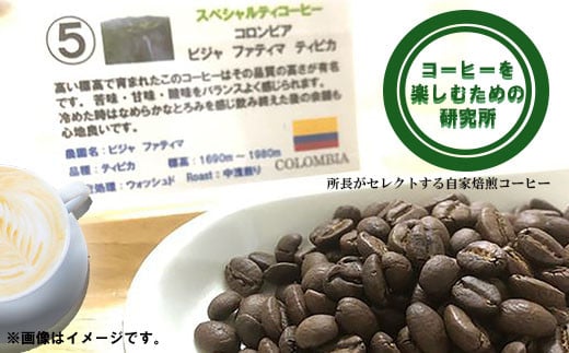 【2回定期便】自家焙煎スペシャリティコーヒーおまかせセット(中挽き) / スペシャリティコーヒー ブレンド コーヒー 中挽き / 諫早市 / R and R coffee labo [AHCJ005]