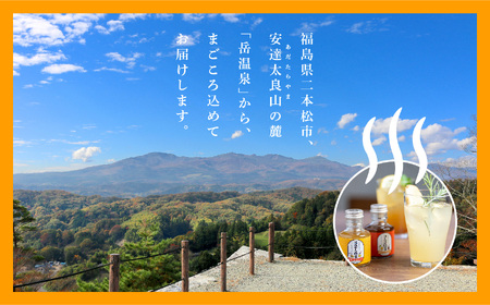 岳温泉発　温泉クラフトジンジャーシロップセット【佐藤物産】