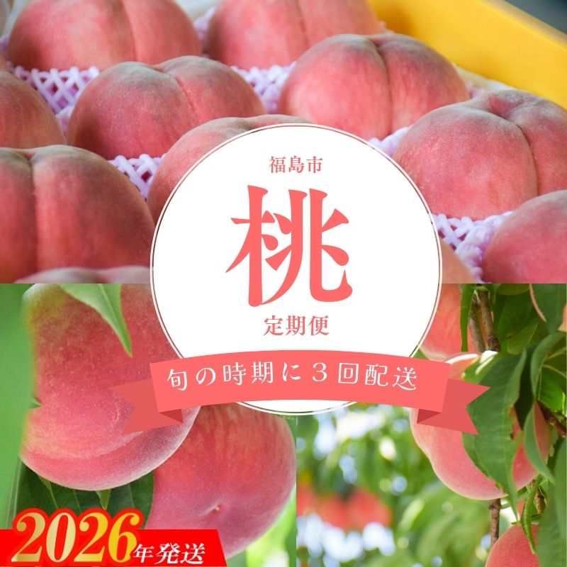 【ふるさと納税】No.2917ヤマ孝 紺野果樹園 福島の桃だけ3種定期便 各約2kg【2026年発送】