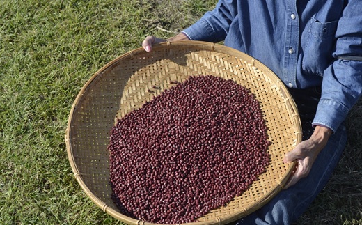 瑞穂大納言小豆 500g 【地域限定 京丹波町産 ブランド 小豆 あずき あんこ 赤飯 京都 】