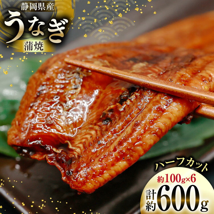 【ふるさと納税】 うなぎ 国産 静岡 蒲焼 ハーフカット 100g 6パック 計600g [静岡鰻販売 静岡県 吉田町 22424582] 鰻 ウナギ unagi 蒲焼き かば焼き うなぎ蒲焼き 鰻蒲焼 真空パック 冷凍 静岡県産 丑の日 丑の日配送