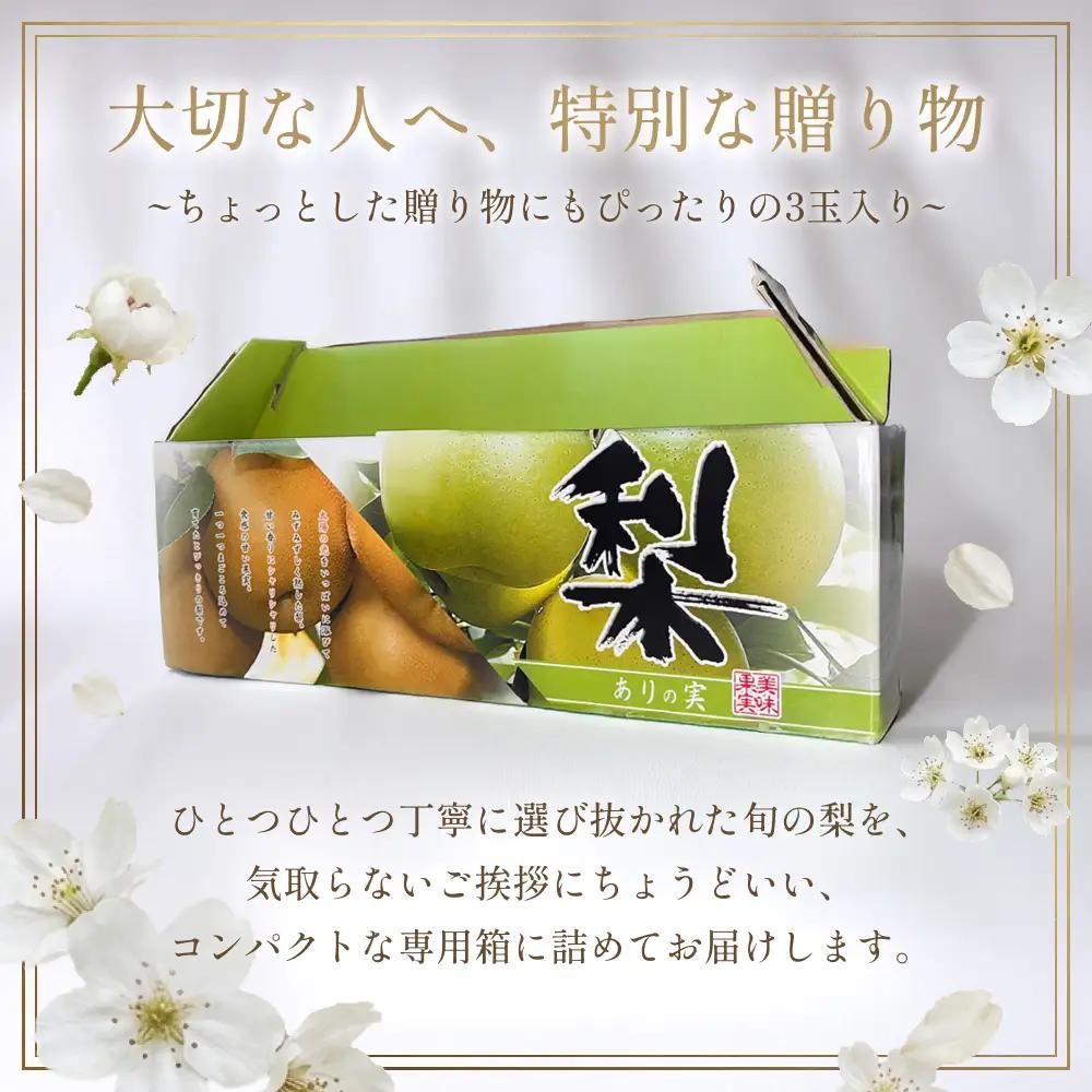 【先行予約】中野農園 梨 ”二十世紀梨” 3玉入り｜鳥取 岩美 梨 なし ナシ※お届けは2026年8月下旬以降【41024】