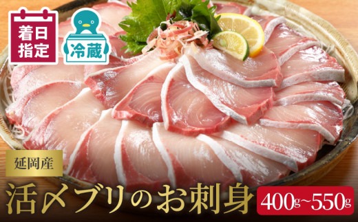 【日向灘どれ】延岡産活〆ブリのお刺身　400g～550g　N019-YA2259　請関水産