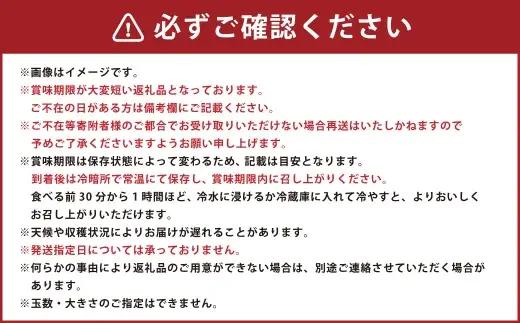 岡山白桃 5 ～ 6玉 約1.3kg 白桃 もも モモ 桃 くだもの フルーツ 果実 果物 果汁 国産 岡山県産 【 2026年7月上旬～8月上旬発送予定 】
