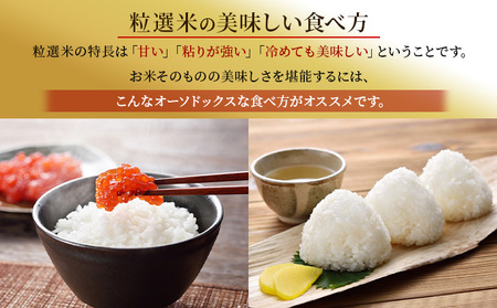 新潟産コシヒカリ精米10kg真空パック（5kg×2袋） 米 コメ こめ お米 おこめ 白米 精米 コシヒカリ こしひかり 10kg ご飯 ごはん 新潟 