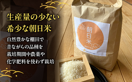 無洗米 先行受付 ホタル舞う里山の棚田米 精米10kg 朝日 2kg×5袋 米 無洗米